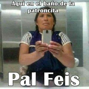 Meet your Posher, Wilbur